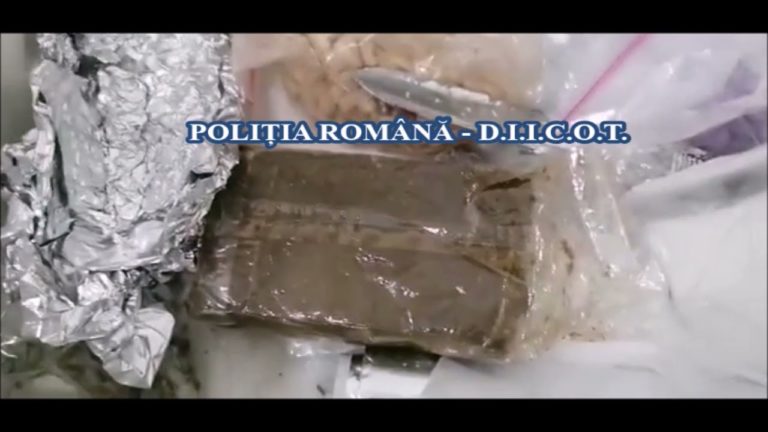 (VIDEO) Trafic de droguri la un festival de muzică din Olimp. Patru suspecți, arestați