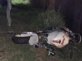 Un motociclist a murit după ce a lovit un copac şi un cap de pod