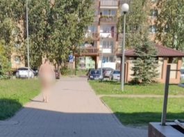 Un procuror beat s-a plimbat gol pe străzile unui oraş polonez
