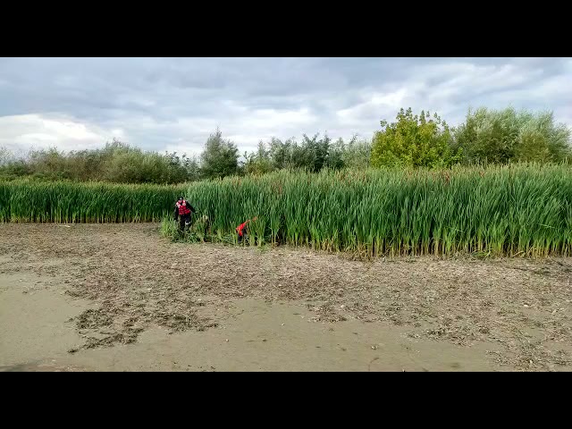 (VIDEO) Vâlcea: Om al străzii, afundat în mâl până la brâu, salvat de pompieri