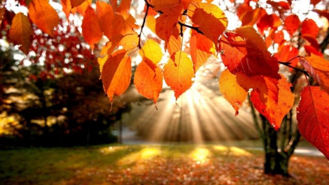 Regimul termic va deveni normal, în intervalul 13 - 26 septembrie