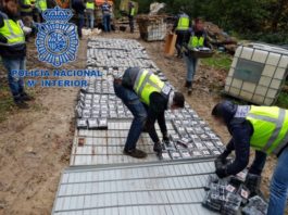 Cea mai mare reţea de trafic de cocaină din Europa, dezmembrată de poliţia spaniolă
