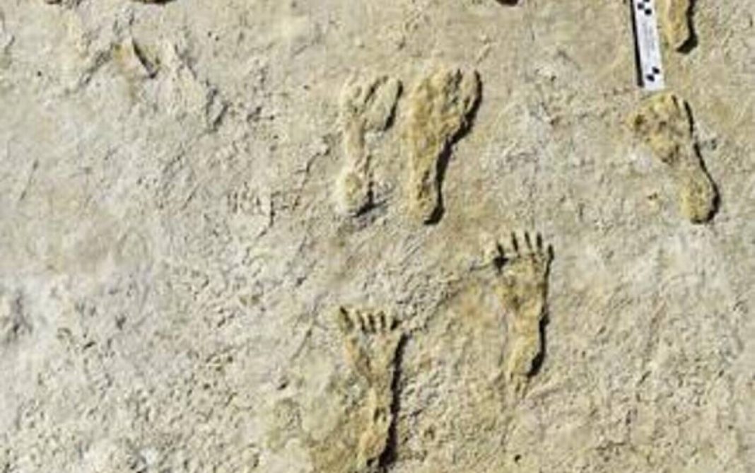 Urme de tălpi cu o vechime de 23.000 de ani rescriu istoria prezenţei umane în America