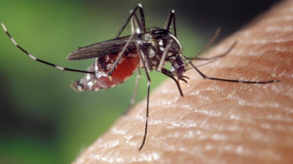 Un doljean a murit după ce s-a infectat cu virusul West Nile