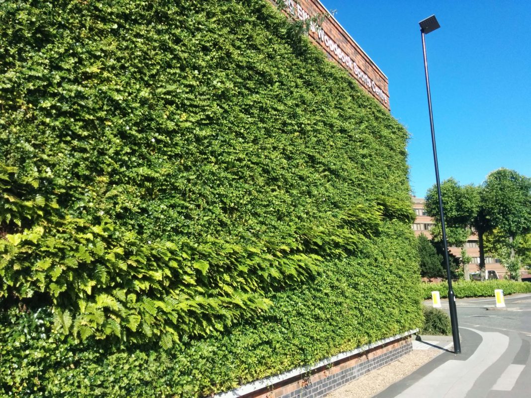 Primăria Craiova vrea să amenajeze un perete verde vertical la Şcoala „Mircea Eliade“, primul de acest fel din municipiu. Iată cum arată un perete verde la Universitatea Aston, din Birmingham.