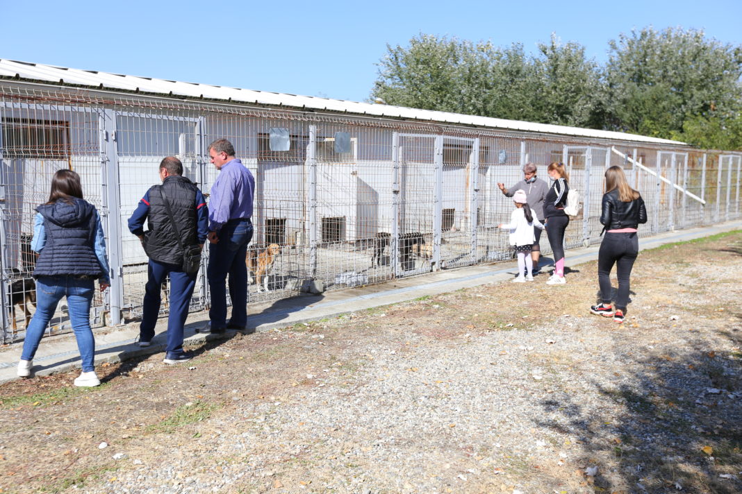 Persoanele care doresc să ofere o casă unui cățel trebuie să vină la Centrul de adopții canine Craiova și să îl aleagă