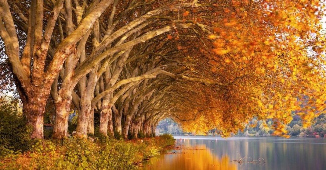 Prognoza meteo pentru următoarele două săptămâni