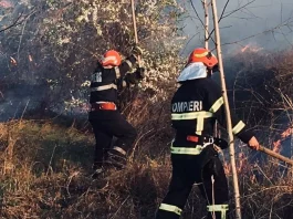 Pompierii vâlceni au intervenit marți la 17 incendii de vegetație uscată