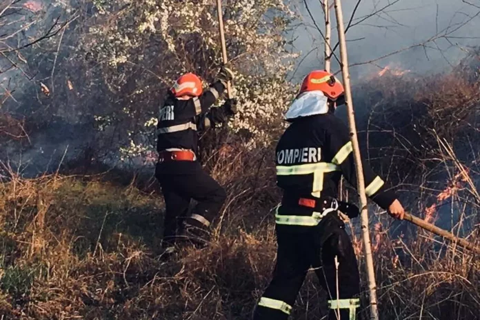 Pompierii vâlceni au intervenit marți la 17 incendii de vegetație uscată