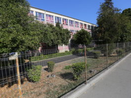 Tragedie la un liceu din Craiova: Un elev a murit