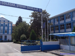 Nouă școli din Craiova și județ își desfășoară activitatea online