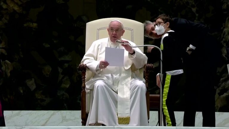Un băieţel a întrerupt audienţa Papei Francisc pentru a-i cere boneta