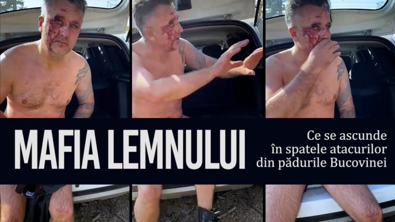 Recorder: Ce se ascunde în spatele atacurilor din pădurile Bucovinei