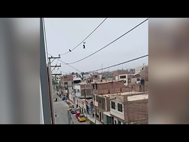 Un porumbel care a rămas agăţat de un cablu, salvat cu ajutorul unei drone