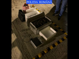 53 kg de trufe negre, confiscate de poliţiştii din Neamţ