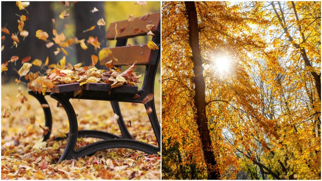 Cum va fi vremea în următoarele două săptămâni