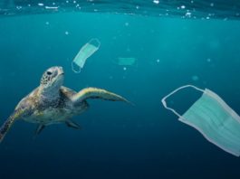Peste 25.000 de tone de deşeuri de plastic produse în pandemie au ajuns în oceanele lumii