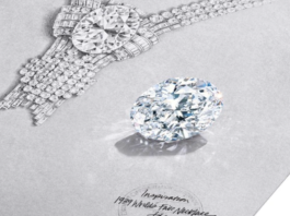 Tiffany își vinde cea mai scumpă bijuterie. Valoarea sa, estimată între 20 și 30 de milioane de dolari