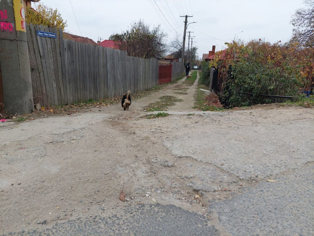 Plaiul Vulcăneşti, stradă de oraş ca în mediul rural