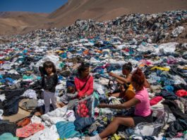 Un munte de haine noi a apărut în mijlocul desertului, în Chile