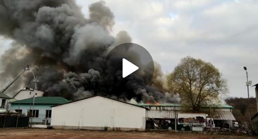 Misiune dificilă. Pompierii luptă să stingă incendiul de la hala de carne din Olt