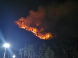 Incendiul din pădurea Ocolului Silvic Privat Oituz, greu de stins