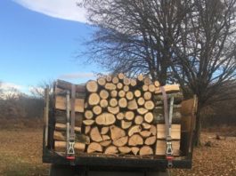 Gorj: Jandarmii au depistat un transport ilegal de lemne