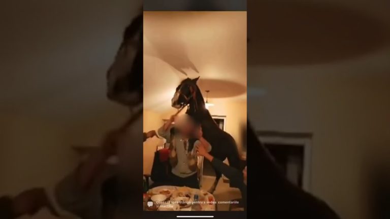 (VIDEO) Au dat o petrecere la care invitat special a fost un cal