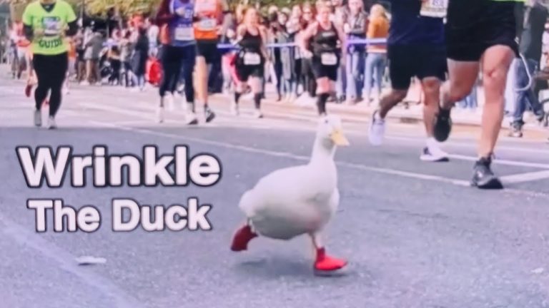 (VIDEO) Concurent surpriză la maratonul din New York