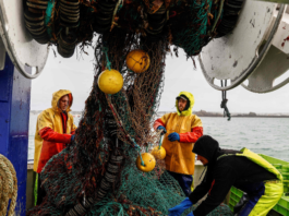 Pescari francezi vor bloca vineri trei porturi şi Eurotunelul, în conflictul licenţelor de pescuit