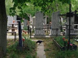 Deţinut evadat, prins într-un cimitir