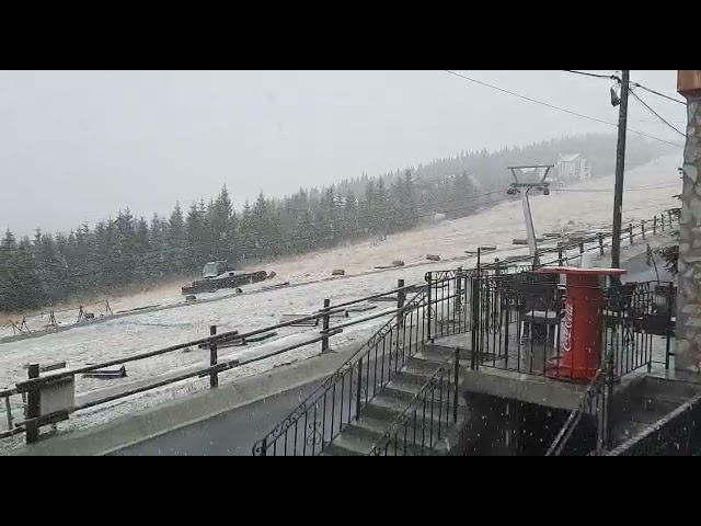(VIDEO) Gorj: Ninge la Rânca