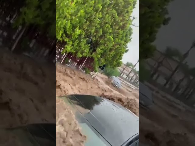 (VIDEO) Dezastru în Sicilia. Un tronson de drum s-a surpat