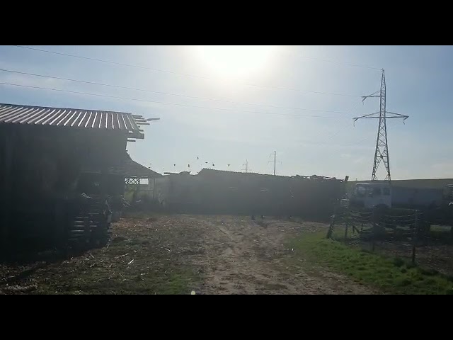 (VIDEO) Evadatul, căutat în extravilanul comunei Moțăței