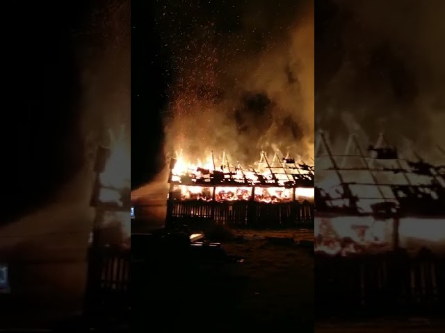 (VIDEO) Bistrița: Incendiu violent la un adăpost pentru animale