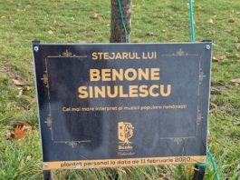 Primăria Buzău a amenajat două locuri pentru comemorarea lui Benone Sinulescu
