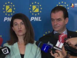 Deputata Violeta Alexandru a demisionat din grupul parlamentar PNL