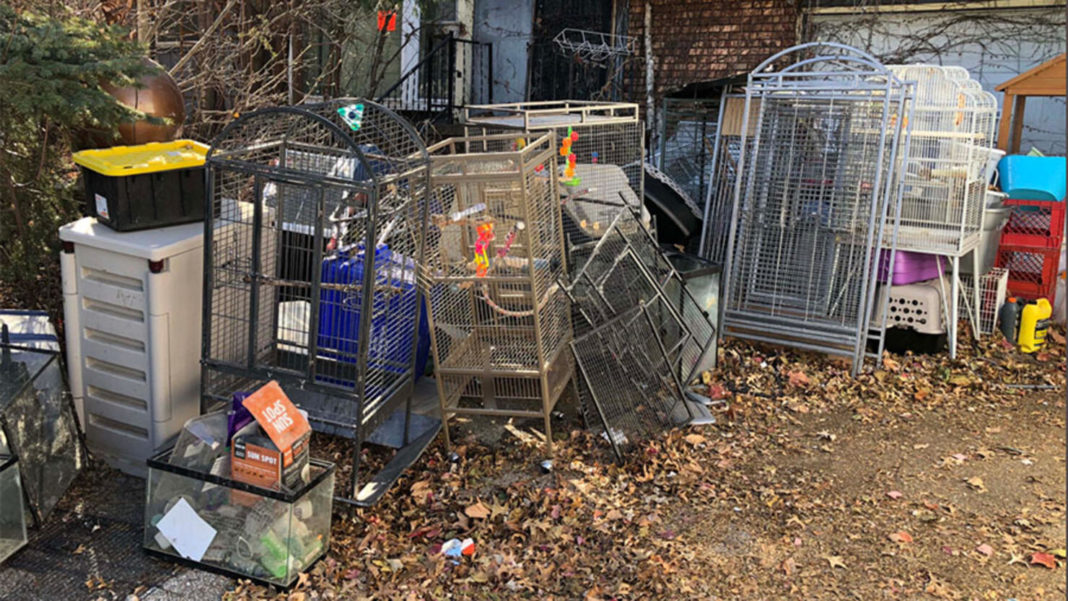 Păsări exotice, șerpi, iepuri și multe alte vietăți erau ținute în cuști depozitate în doar câteva camere