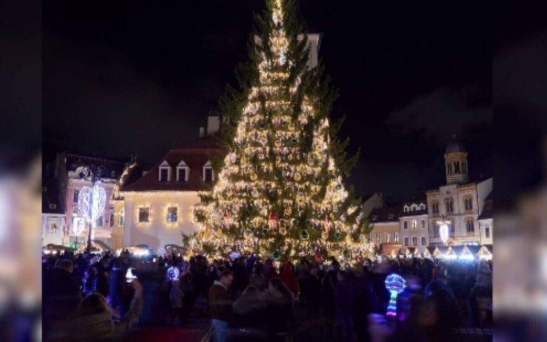 Bradul din Braşov, în topul european