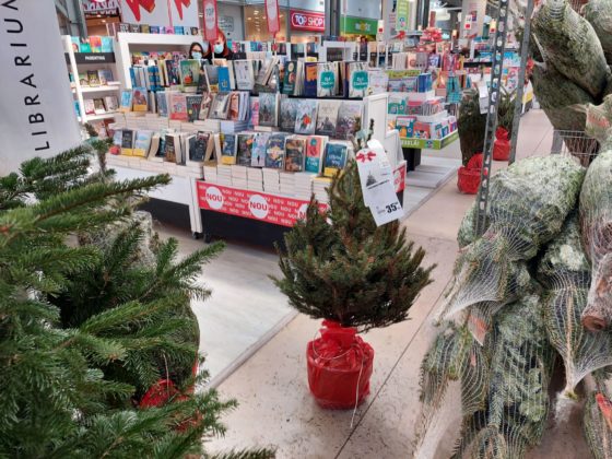 Brazii sunt la preţ mic &icirc;n hipermarket