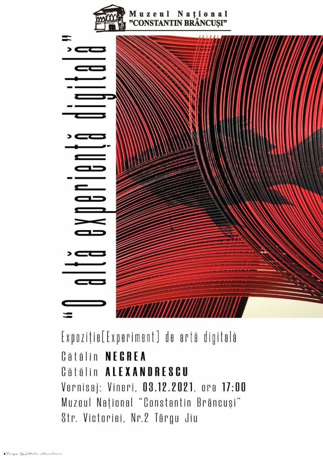 expo muzeu brancusi