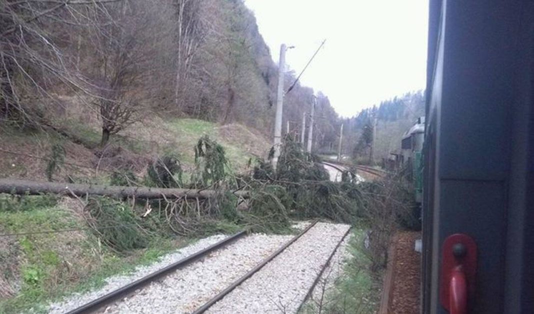 Circulaţia feroviară, afectată de căderea copacilor