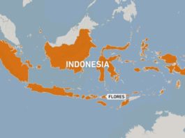Cutremur de 7,4 grade pe scara Richter în Indonezia