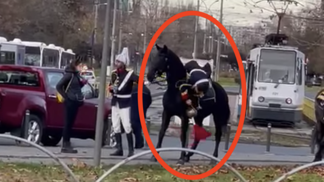 jandarm cazut de pe cal Dosar penal pentru jandarmul căzut de pe cal la paradă