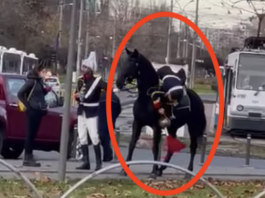 Dosar penal pentru jandarmul căzut de pe cal la paradă