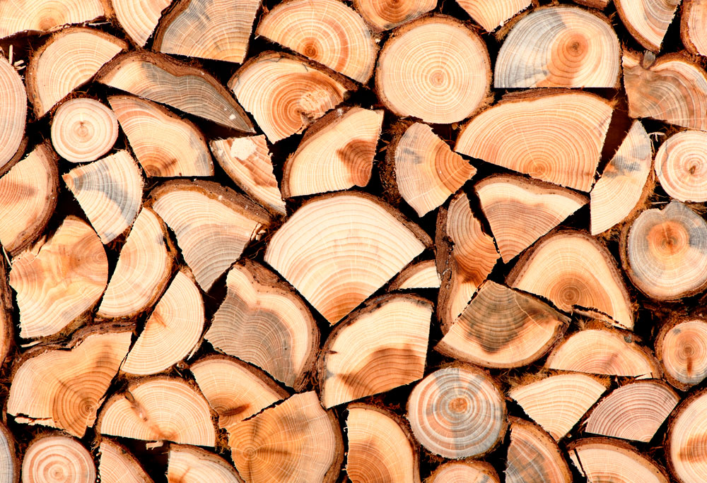 Firme care vindeau lemne de foc, amendate pentru că nu au plafonat preţul