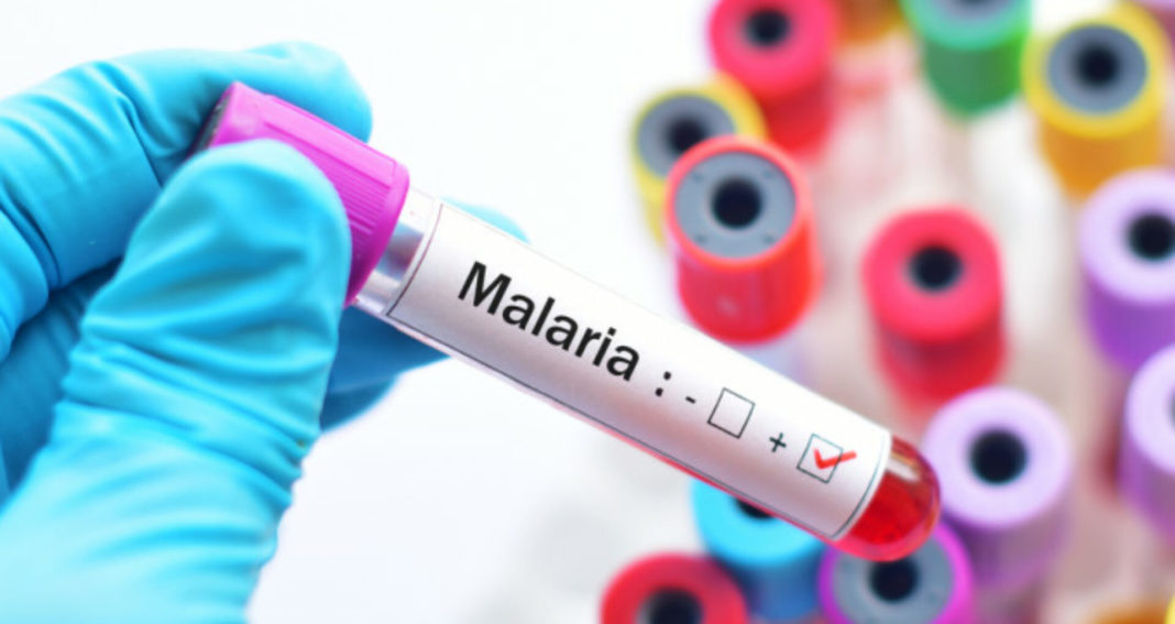 A crescut numărul cazurilor de îmbolnăvire cu ”malarie de import”
