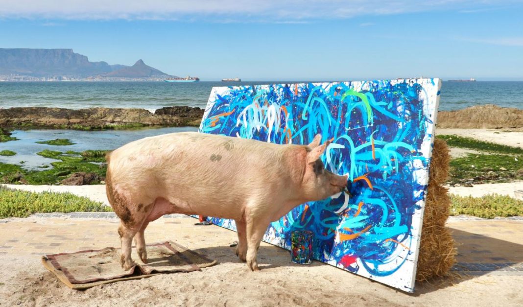 Tabloul pictat de un porc a fost vândut cu 20.000 de lire sterline