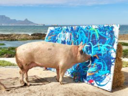 Tabloul pictat de un porc a fost vândut cu 20.000 de lire sterline