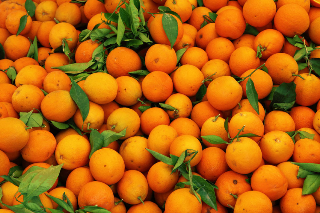 Autorităţile au descoperit în magazine tone de mandarine şi lămâi cu pesticide